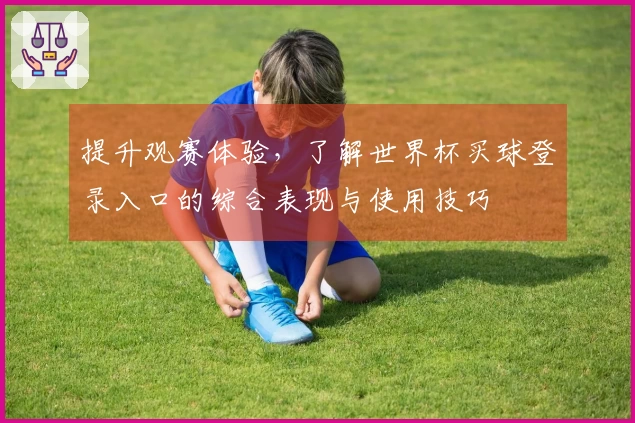 提升观赛体验，了解世界杯买球登录入口的综合表现与使用技巧
