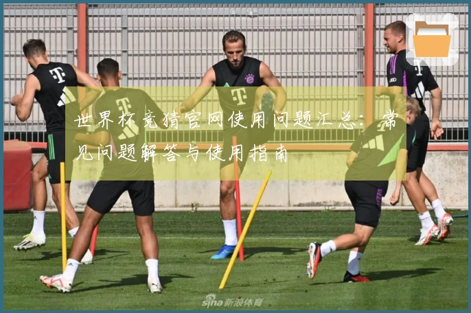 世界杯竞猜官网使用问题汇总：常见问题解答与使用指南
