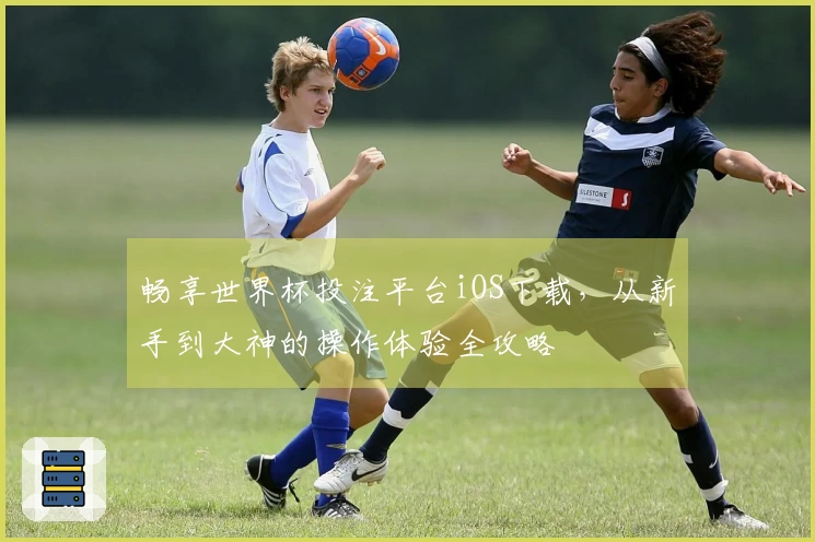畅享世界杯投注平台iOS下载，从新手到大神的操作体验全攻略