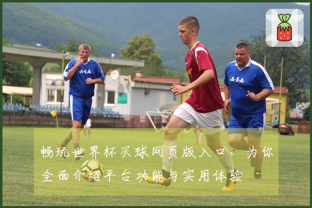 畅玩世界杯买球网页版入口，为你全面介绍平台功能与实用体验