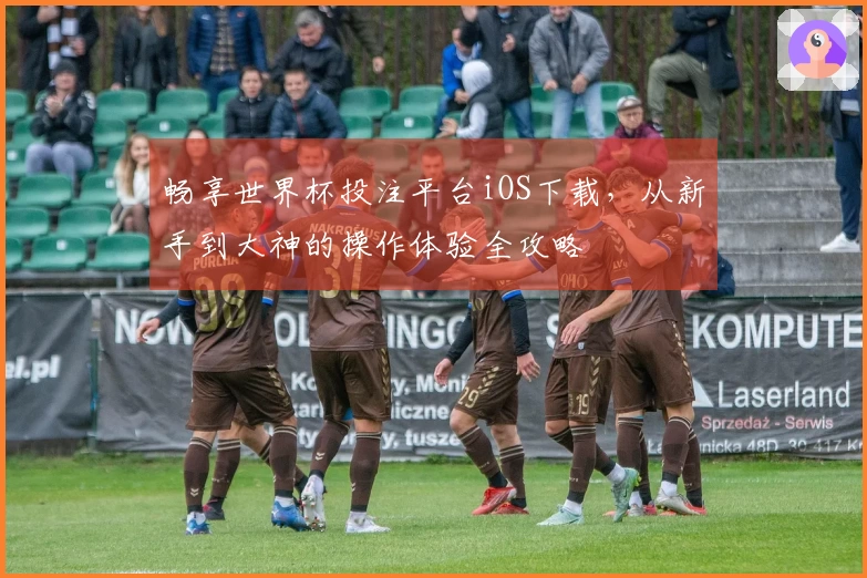 畅享世界杯投注平台iOS下载，从新手到大神的操作体验全攻略