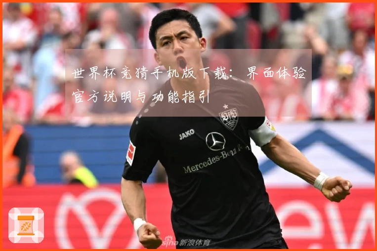 世界杯竞猜手机版下载：界面体验官方说明与功能指引