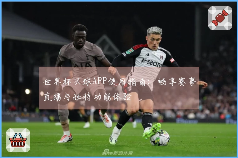 世界杯买球APP使用指南：畅享赛事直播与独特功能体验