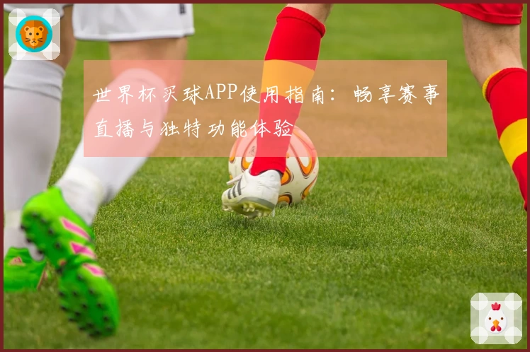 世界杯买球APP使用指南：畅享赛事直播与独特功能体验