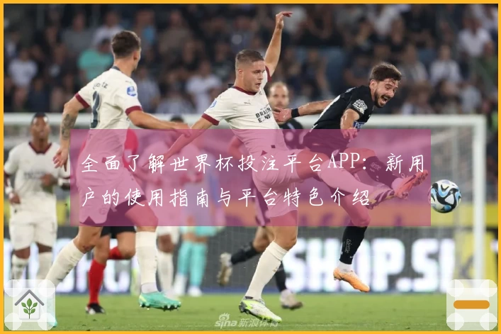 全面了解世界杯投注平台APP：新用户的使用指南与平台特色介绍