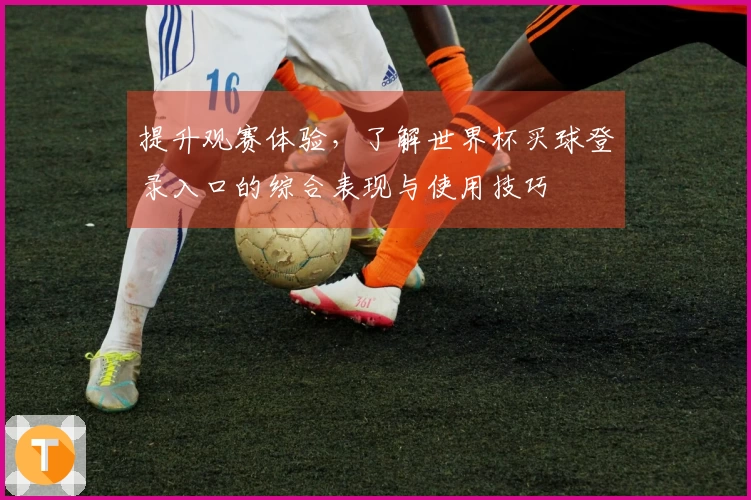 提升观赛体验，了解世界杯买球登录入口的综合表现与使用技巧